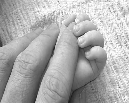 2026四川失独家庭补贴政策与成都办理流程详解