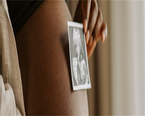 2026年海外试管专业机构成功率解析与选择指南